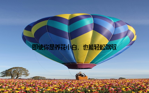 即使你是养花小白, 也能轻松驾驭