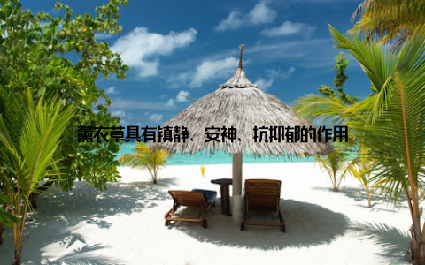 薰衣草具有镇静、安神、抗抑郁的作用