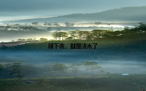 接下来, 就是浇水了