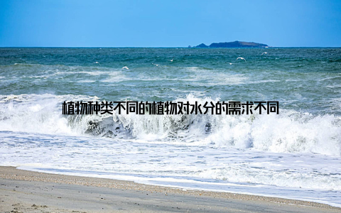 植物种类不同的植物对水分的需求不同