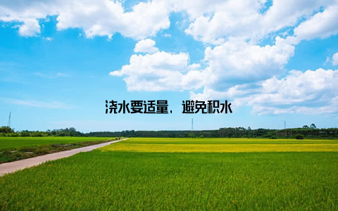 浇水要适量, 避免积水