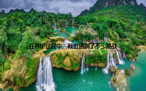 在养护过程中, 我也遇到了不少挑战