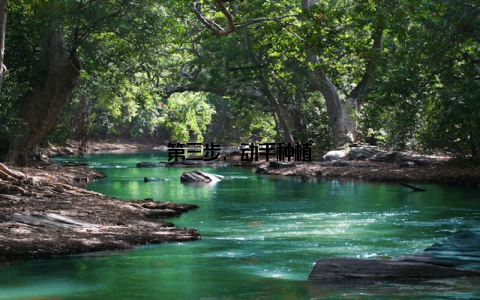 第三步, 动手种植