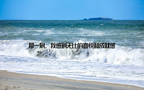 那一刻, 我感到无比的喜悦和成就感