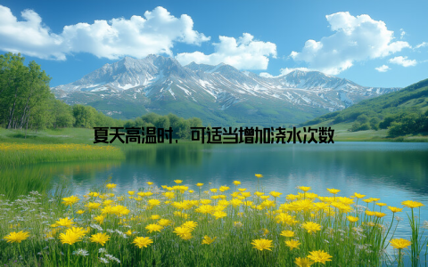 夏天高温时, 可适当增加浇水次数