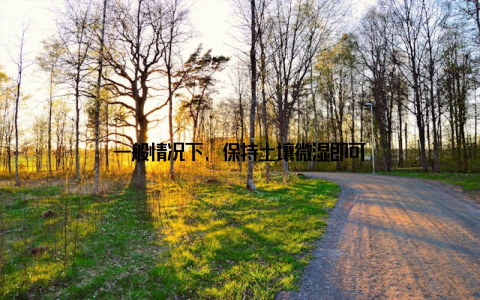 一般情况下, 保持土壤微湿即可