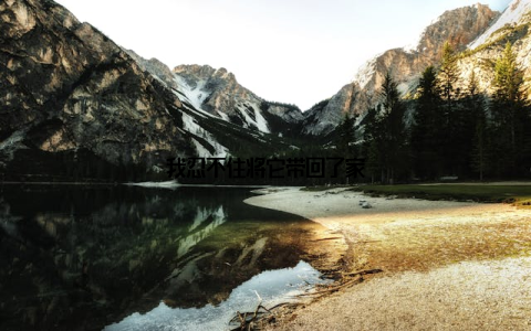 我忍不住将它带回了家