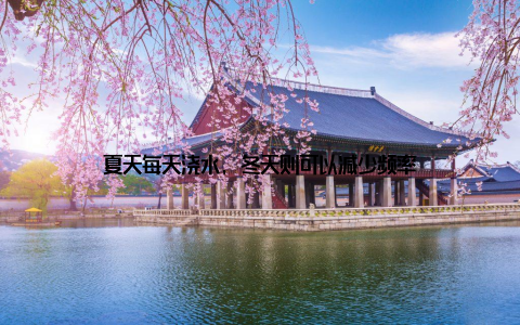 夏天每天浇水, 冬天则可以减少频率