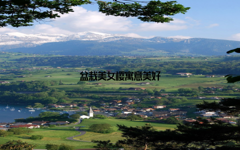 盆栽美女樱寓意美好