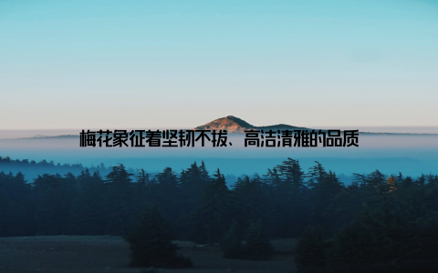 梅花象征着坚韧不拔、高洁清雅的品质