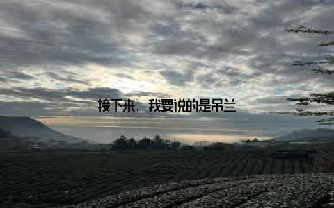 接下来, 我要说的是吊兰