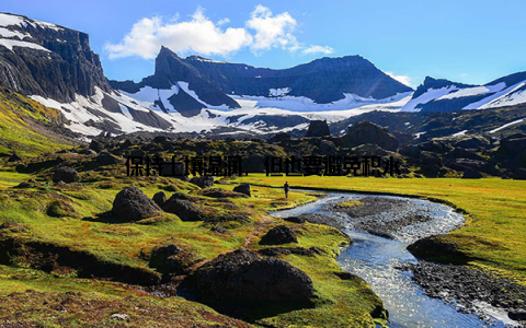 保持土壤湿润, 但也要避免积水