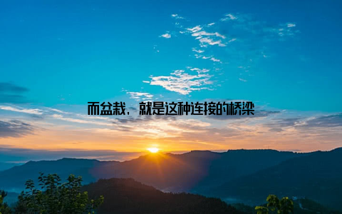 而盆栽, 就是这种连接的桥梁