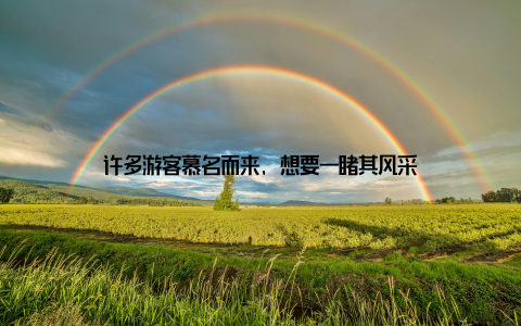 许多游客慕名而来, 想要一睹其风采