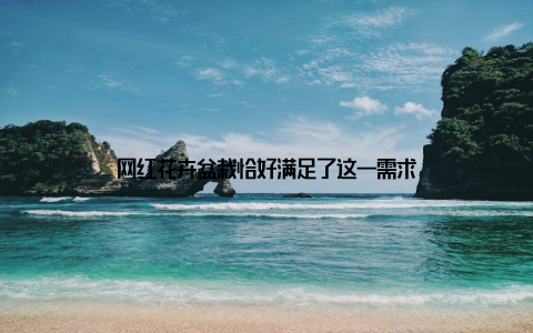 网红花卉盆栽恰好满足了这一需求