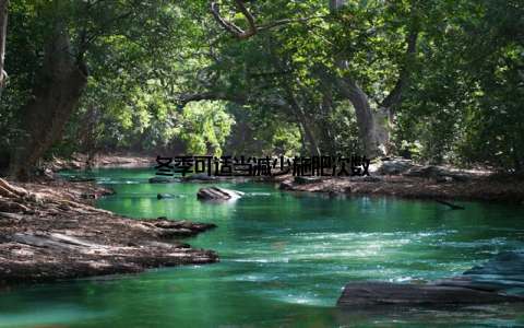 冬季可适当减少施肥次数