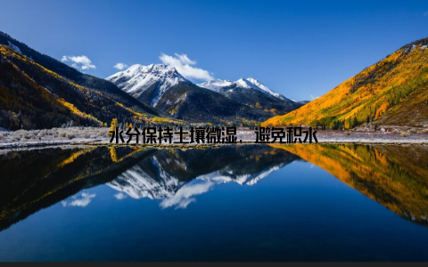 水分保持土壤微湿, 避免积水
