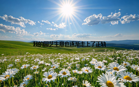 我的园艺生意也逐渐走上了正轨