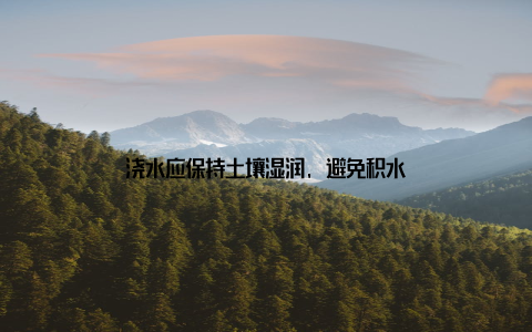 浇水应保持土壤湿润, 避免积水