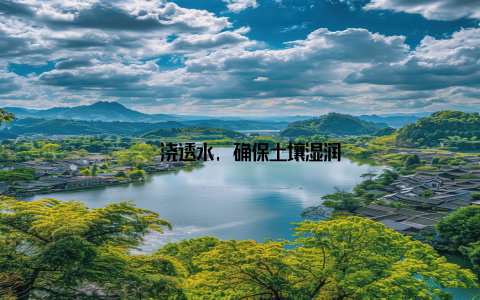 – 浇透水, 确保土壤湿润