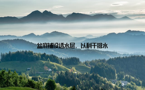 盆底铺设透水层, 以利于排水