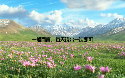 一般而言, 每天浇水一次即可