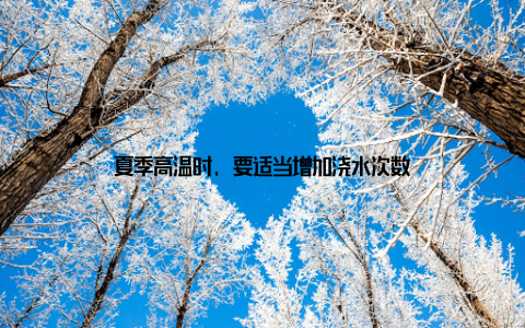 夏季高温时, 要适当增加浇水次数