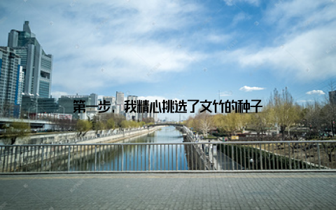 第一步, 我精心挑选了文竹的种子