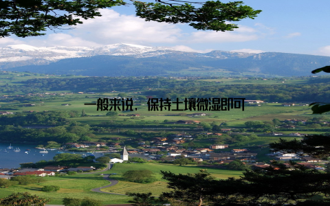 一般来说, 保持土壤微湿即可