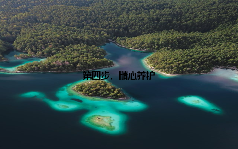 第四步, 精心养护