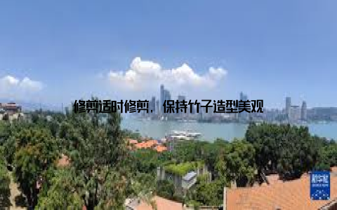 修剪适时修剪, 保持竹子造型美观