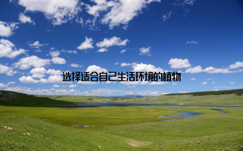 选择适合自己生活环境的植物