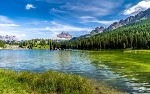 那天晚上, 我失眠了