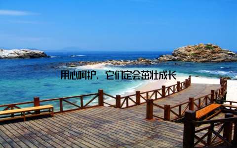 用心呵护, 它们定会茁壮成长