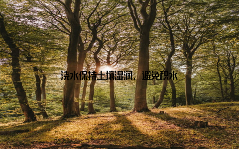 浇水保持土壤湿润, 避免积水