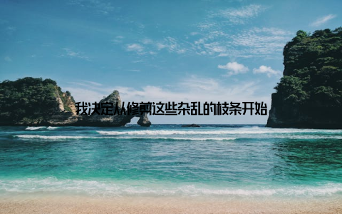 我决定从修剪这些杂乱的枝条开始