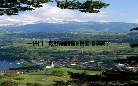 一进门, 我就被眼前的景象惊艳到了