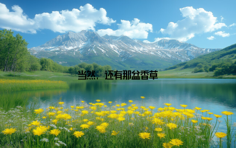 当然, 还有那盆香草