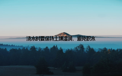 浇水时要保持土壤湿润, 避免积水