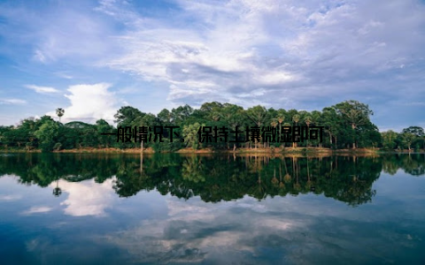 一般情况下, 保持土壤微湿即可