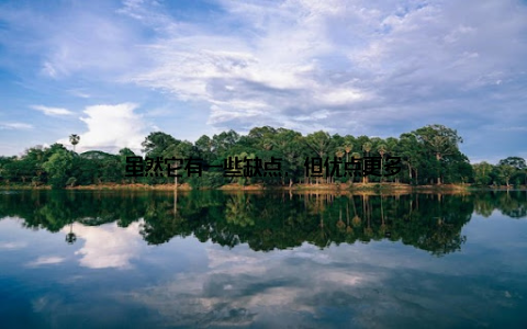 虽然它有一些缺点, 但优点更多