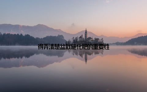 得弄清楚盆栽施化肥的重要性