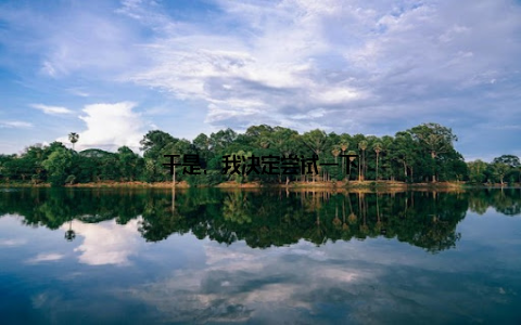 于是, 我决定尝试一下