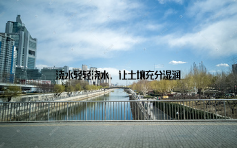 浇水轻轻浇水, 让土壤充分湿润