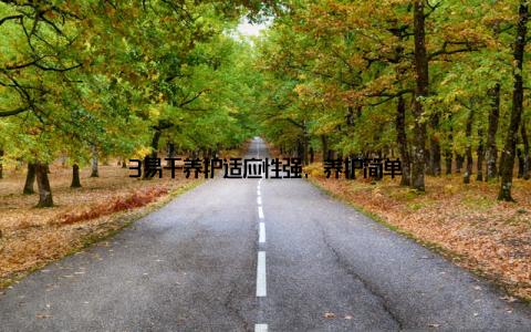 3易于养护适应性强, 养护简单