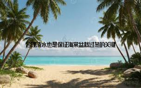 合理浇水也是保证海棠盆栽过冬的关键