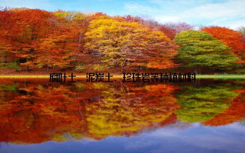 腐叶土、泥炭土、珍珠岩等种植材料