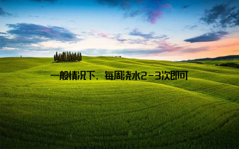 一般情况下, 每周浇水2-3次即可